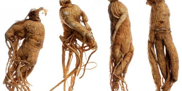 Root Ginseng pentru a crește penisul